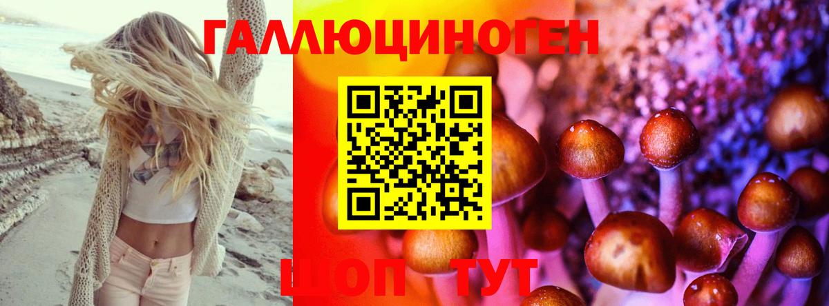 Галлюциногенные грибы Cubensis Новоалександровск