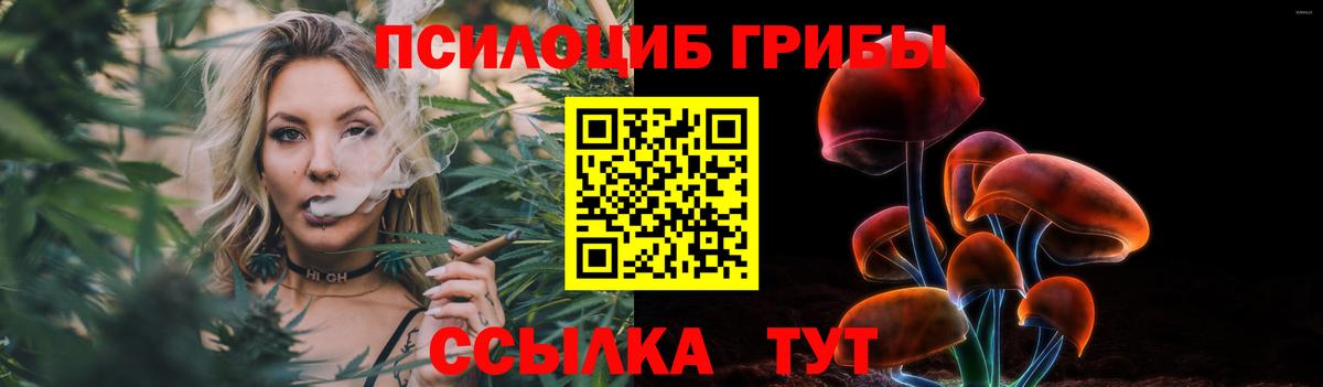 Новоалександровск  как найти закладки  Вход с VPN  Псилоцибиновые грибы Psilocybe 