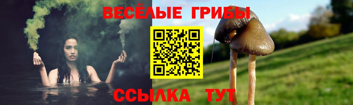 Меф кристаллы  МАРИХУАНА  MDMA  Новоалександровск  Гашиш  Вход с VPN  COCAIN 