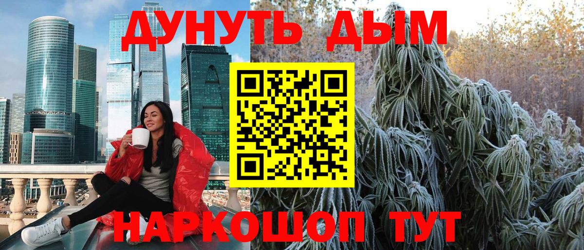 Конопля сатива Новоалександровск